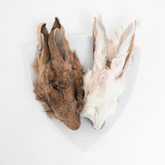Grand Valley Quail - Rabbit Head with Fur